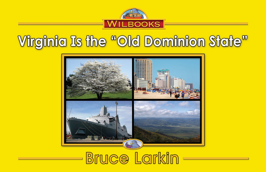 Free Online Books Second Grade: Wilbooks offers inexpensive reading