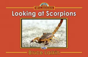 Looking at Scorpions
