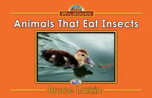 Animals That Eat Insects