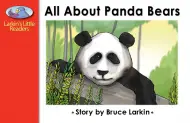 All About Panda Bears