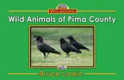 Wild Animals of Pima County