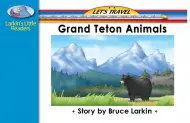 Grand Teton Animals