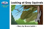 Looking at Gray Squirrels