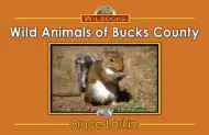Wild Animals of Bucks County