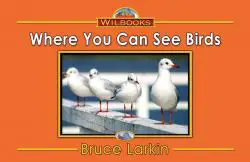 Where You Can See Birds