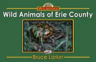 Wild Animals of Erie County