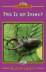 This Is an Insect