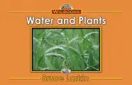 Water And Plants