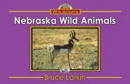Nebraska Wild Animals