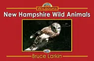 New Hampshire Wild Animals