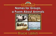 Names for Groups, a Poem About Animals