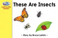 These Are Insects