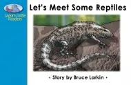 Let's Meet Some Reptiles