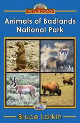 Animals of Badlands National Park