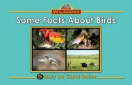 Some Facts About Birds