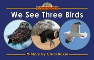 We See Three Birds