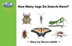 How Many Legs Do Insects Have?