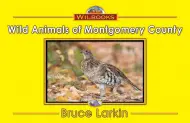 Wild Animals of Montgomery County