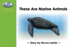 These Are Marine Animals