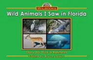Wild Animals I Saw in Florida