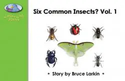 Six Common Insects Vol. 1