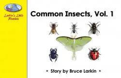 Common Insects Volume 1