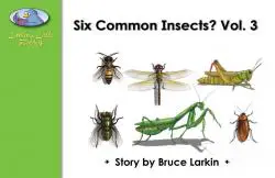 Six Common Insects Vol. 3