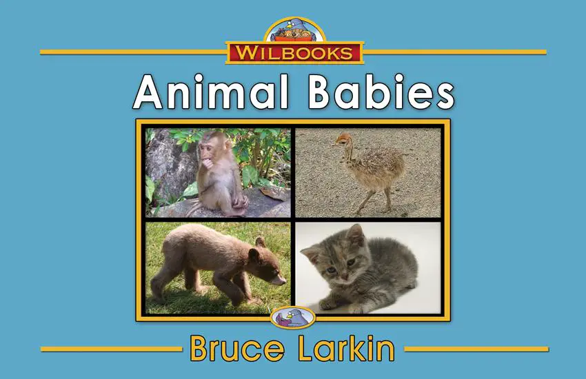 Animal Babies (Kindergarten Book) - Wilbooks