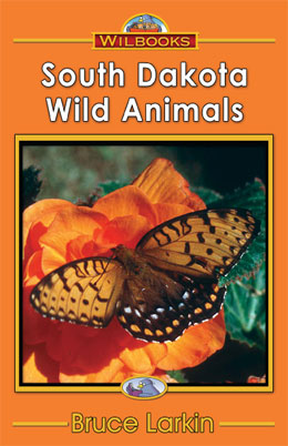 For Kids: Wildlife of South Dakota