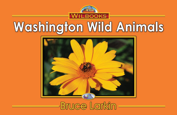 Washington Wild Animals (Kindergarten Book) - Wilbooks