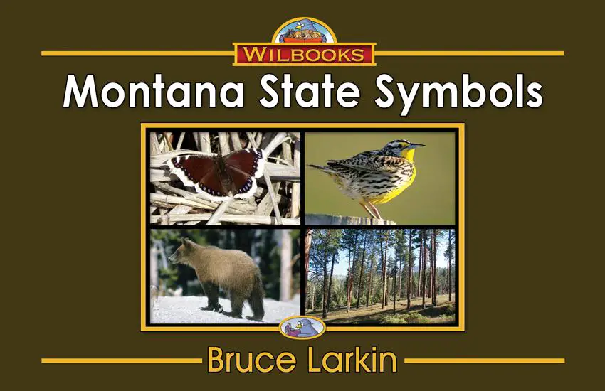 Montana State Symbols (First Grade Book) - Wilbooks