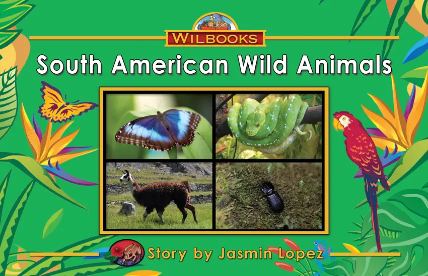 South American Wild Animals: 