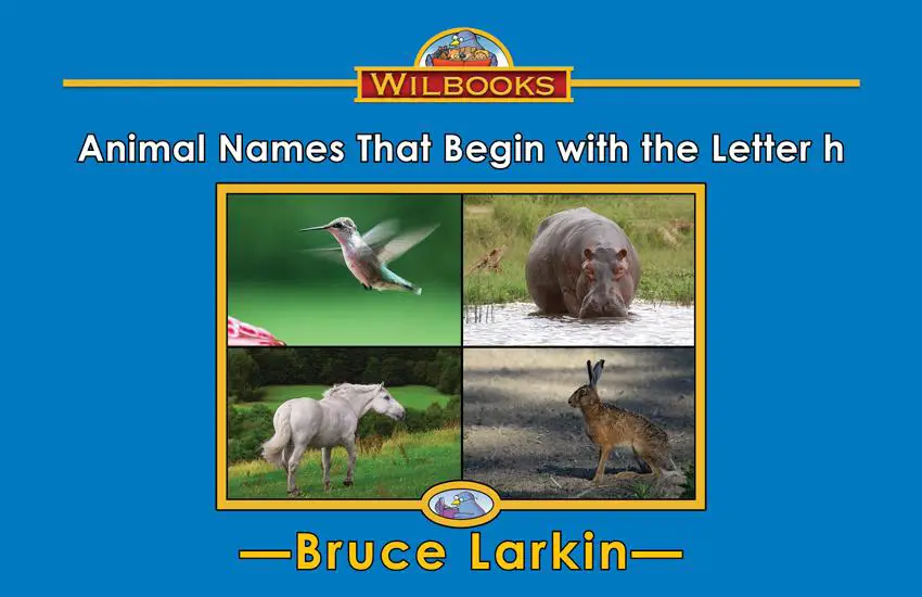 Animal Names That Begin with the Letter h: 