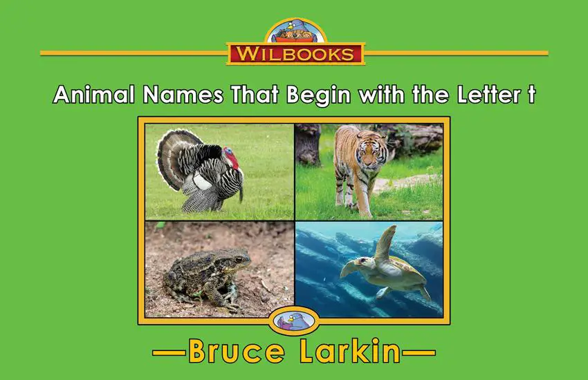 Animal Names That Begin with the Letter t: 