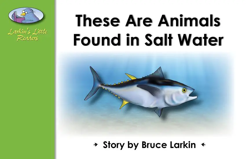These Are Animals Found in Salt Water: 