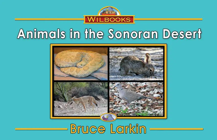 Animals in the Sonoran Desert (A Kindergarten Book) - Wilbooks