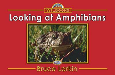 Looking at Amphibians