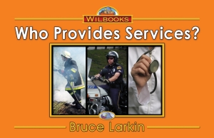 Who Provides Services?