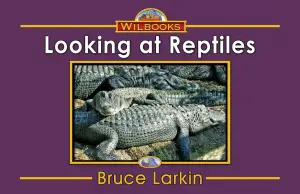 Looking at Reptiles