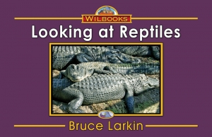 Looking at Reptiles