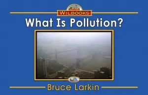 What Is Pollution?