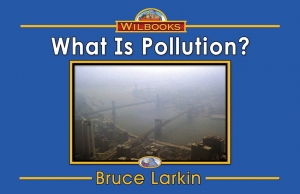 What Is Pollution?