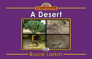 A Desert