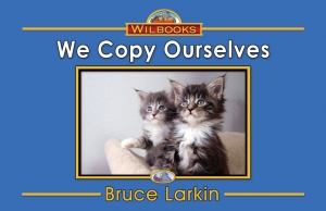 We Copy Ourselves