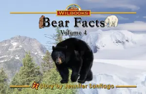 Bear Facts, Vol. 4