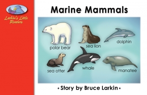 Marine Mammals