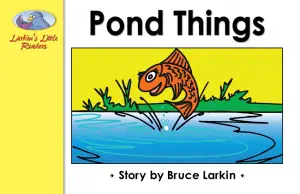 Pond Things