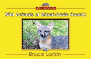 Wild Animals of Miami-Dade County