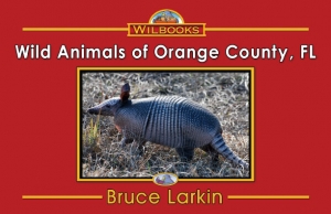 Wild Animals of Orange County, FL