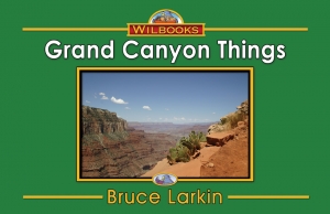 Grand Canyon Things